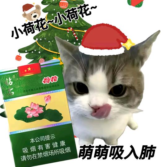变质的心动