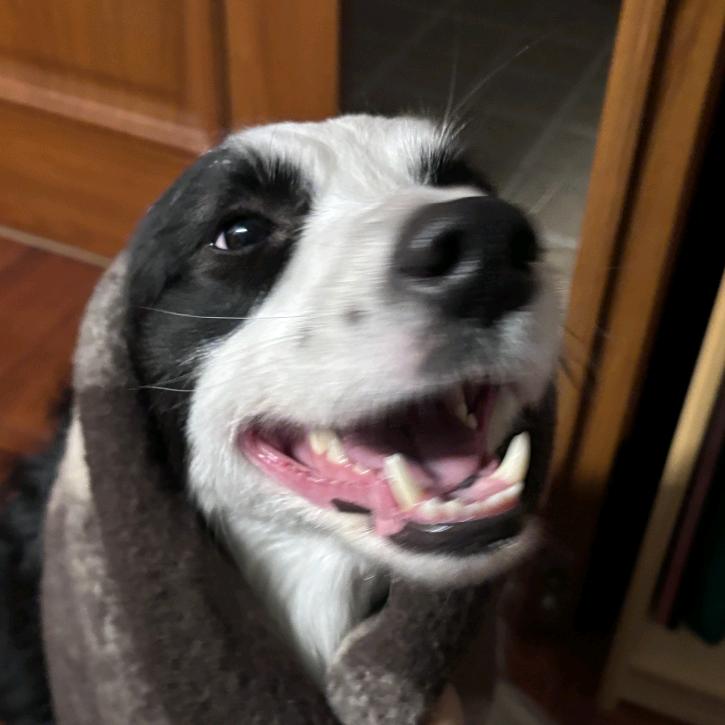 帅到被人连捅14刀