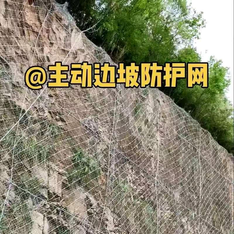 边坡防护网勾花网U型钉现货厂家