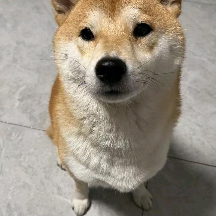 @㜂孞@