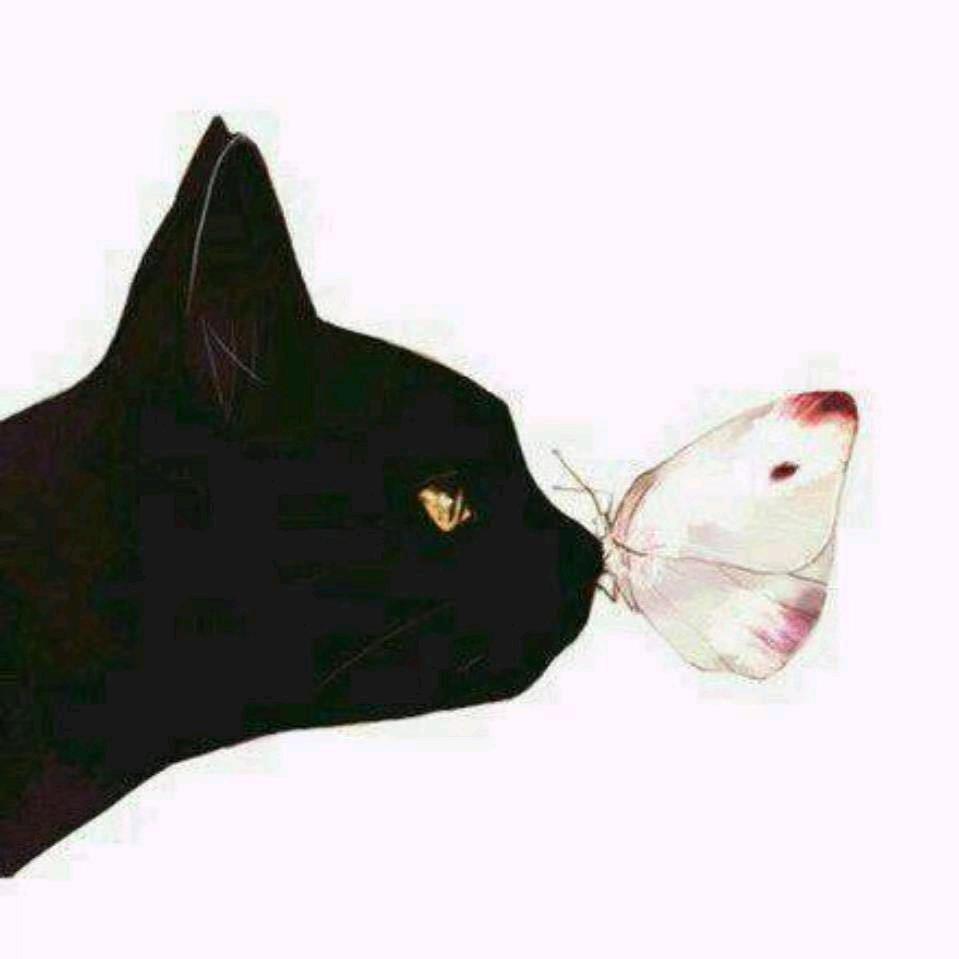 青红二手电脑