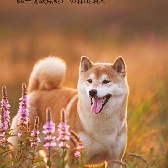 于大姐