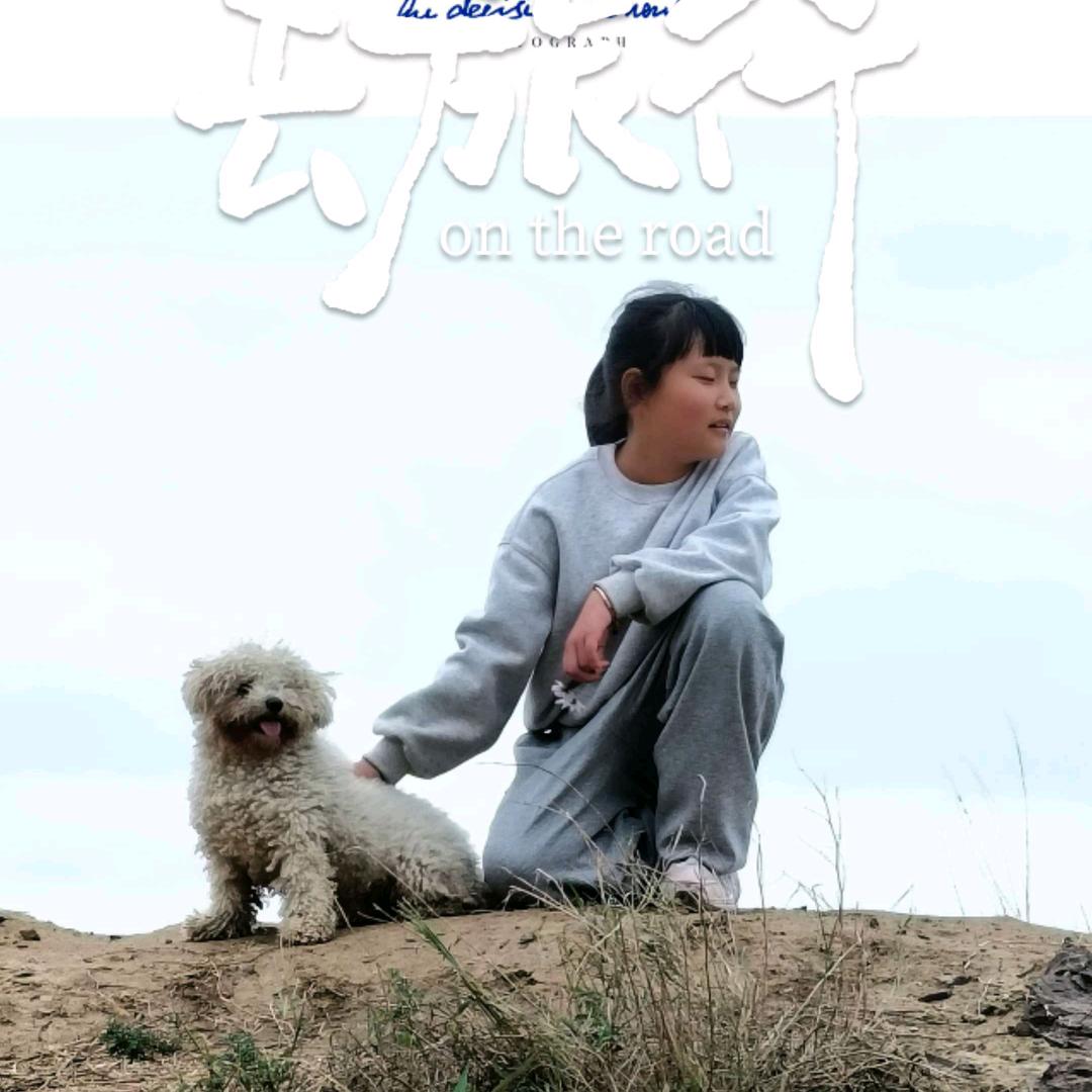 白糖巧克力比熊泰