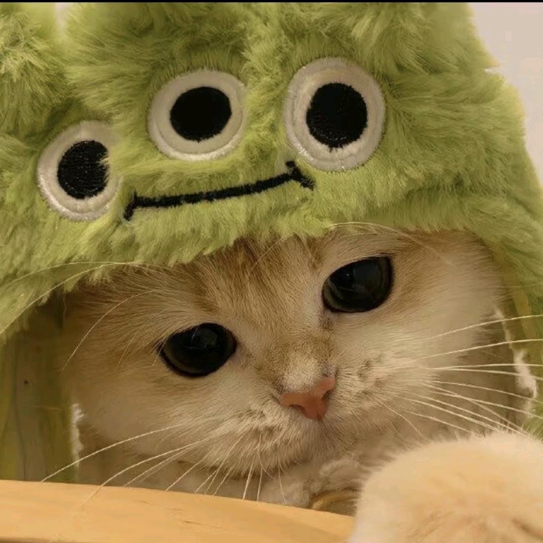 皮卡丘的小跟班