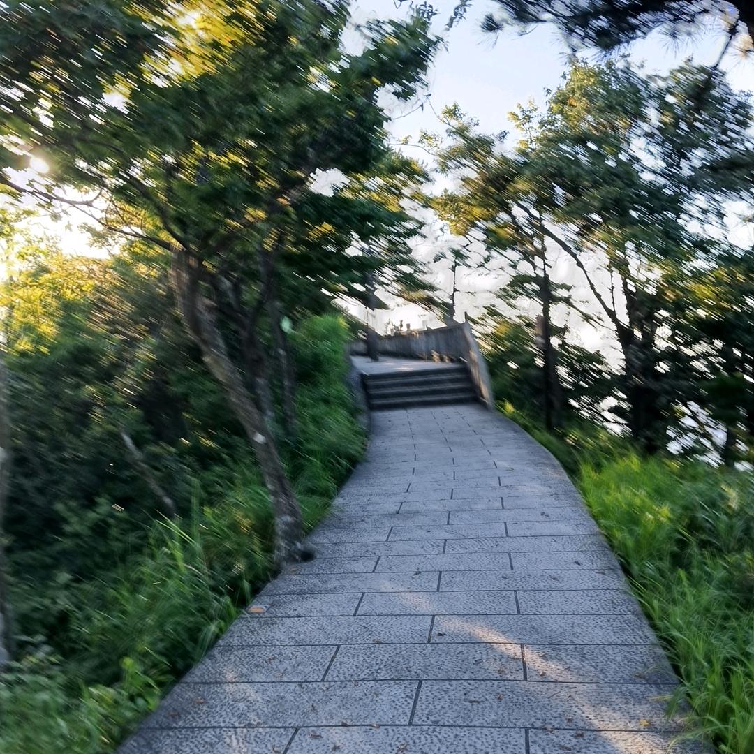 琴琴