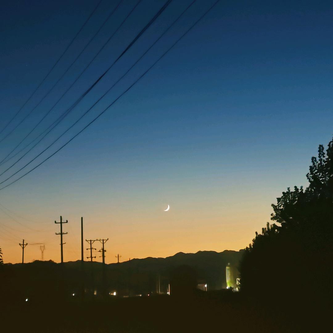 真皮女鞋厂家直发