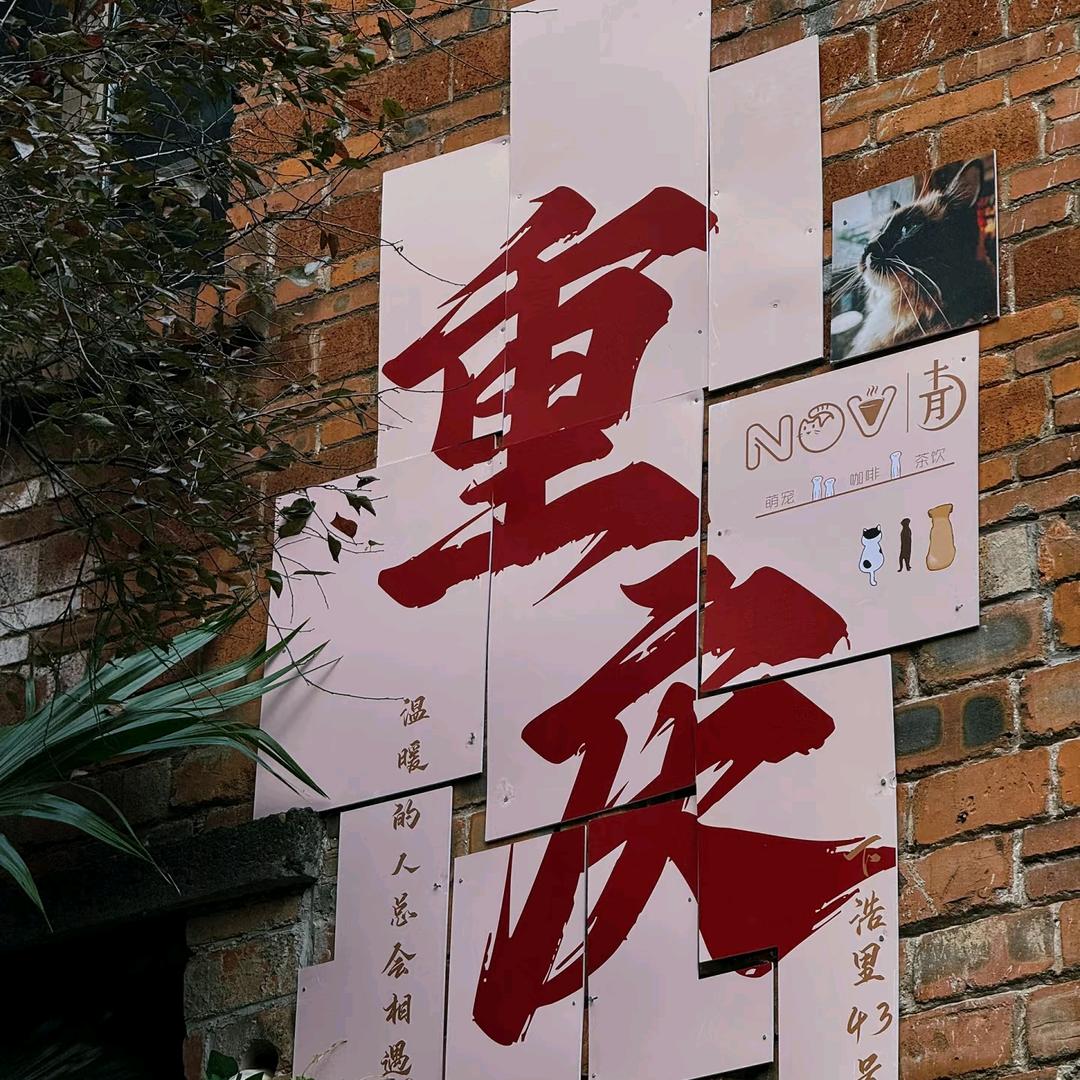 重庆Travel-丫丫