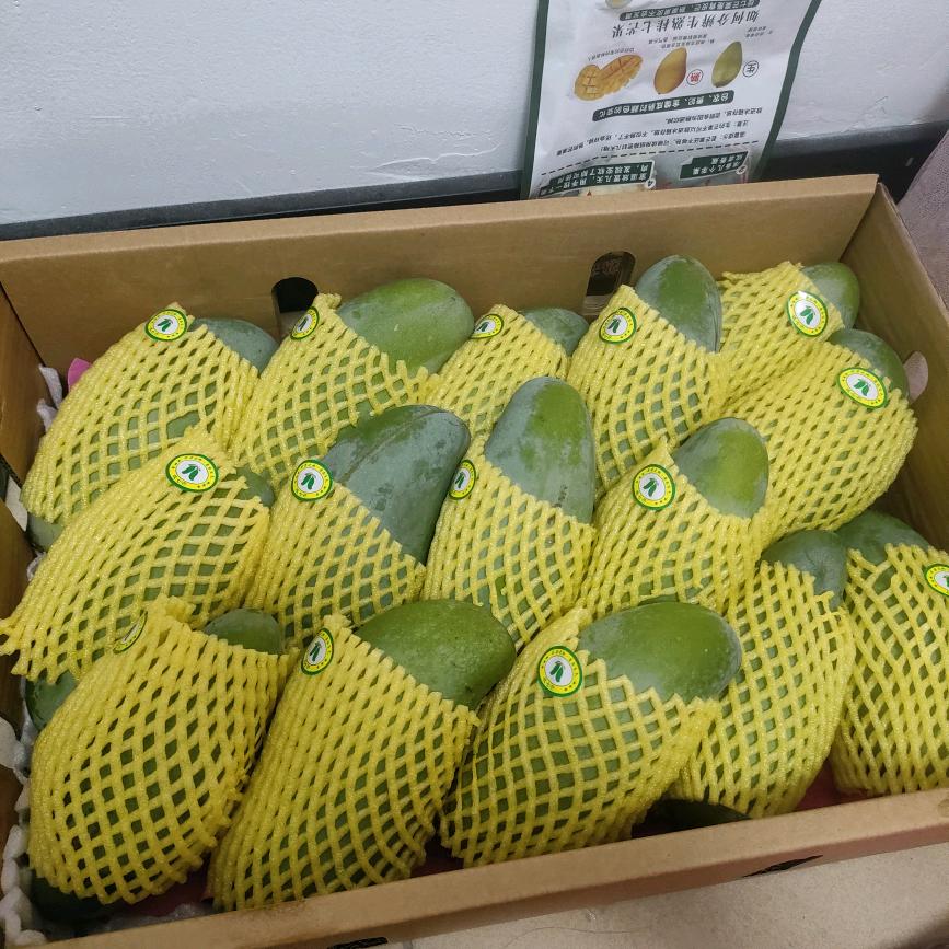 R2廾乚