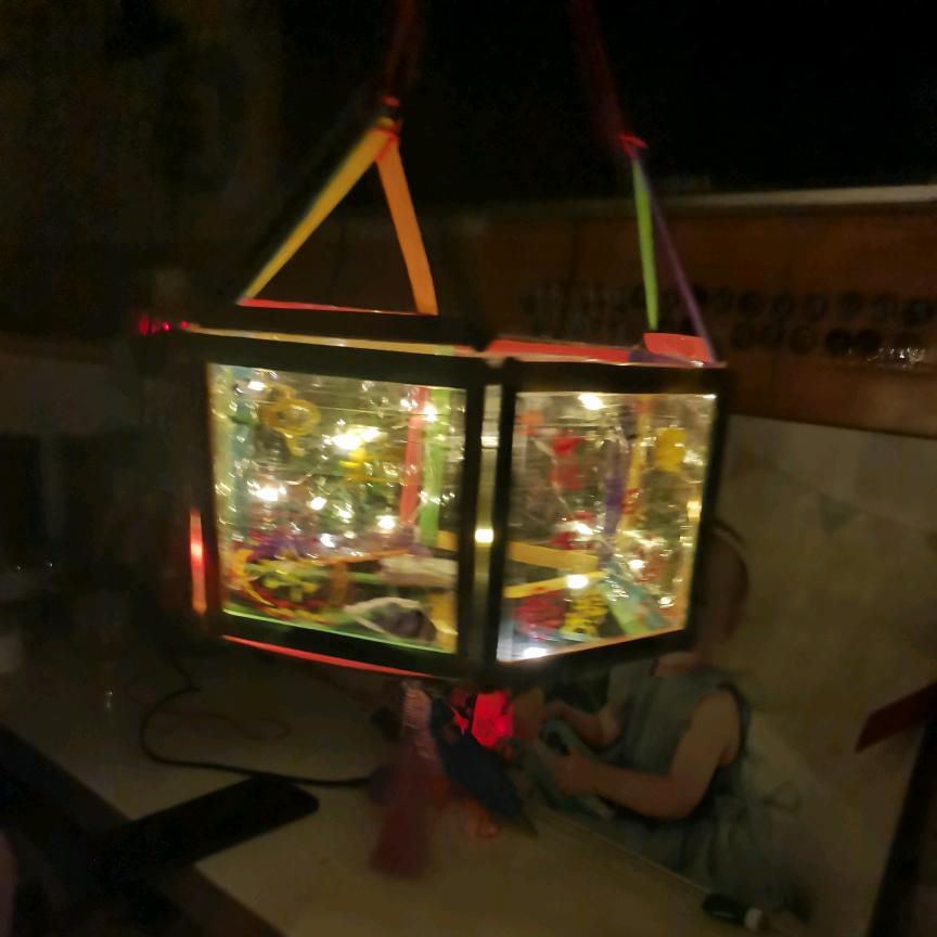 理想果蔬有限公司