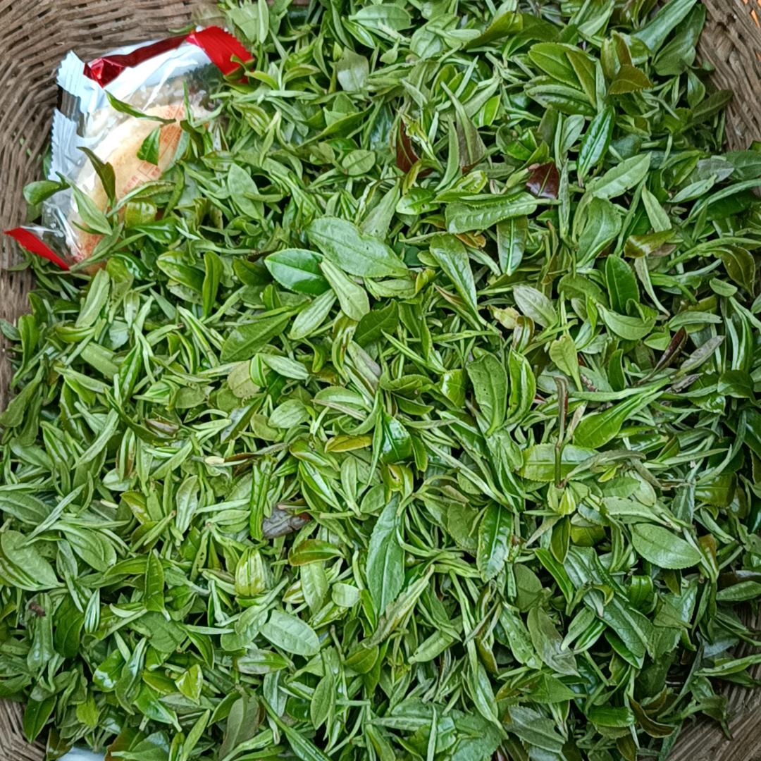 梦想成真
