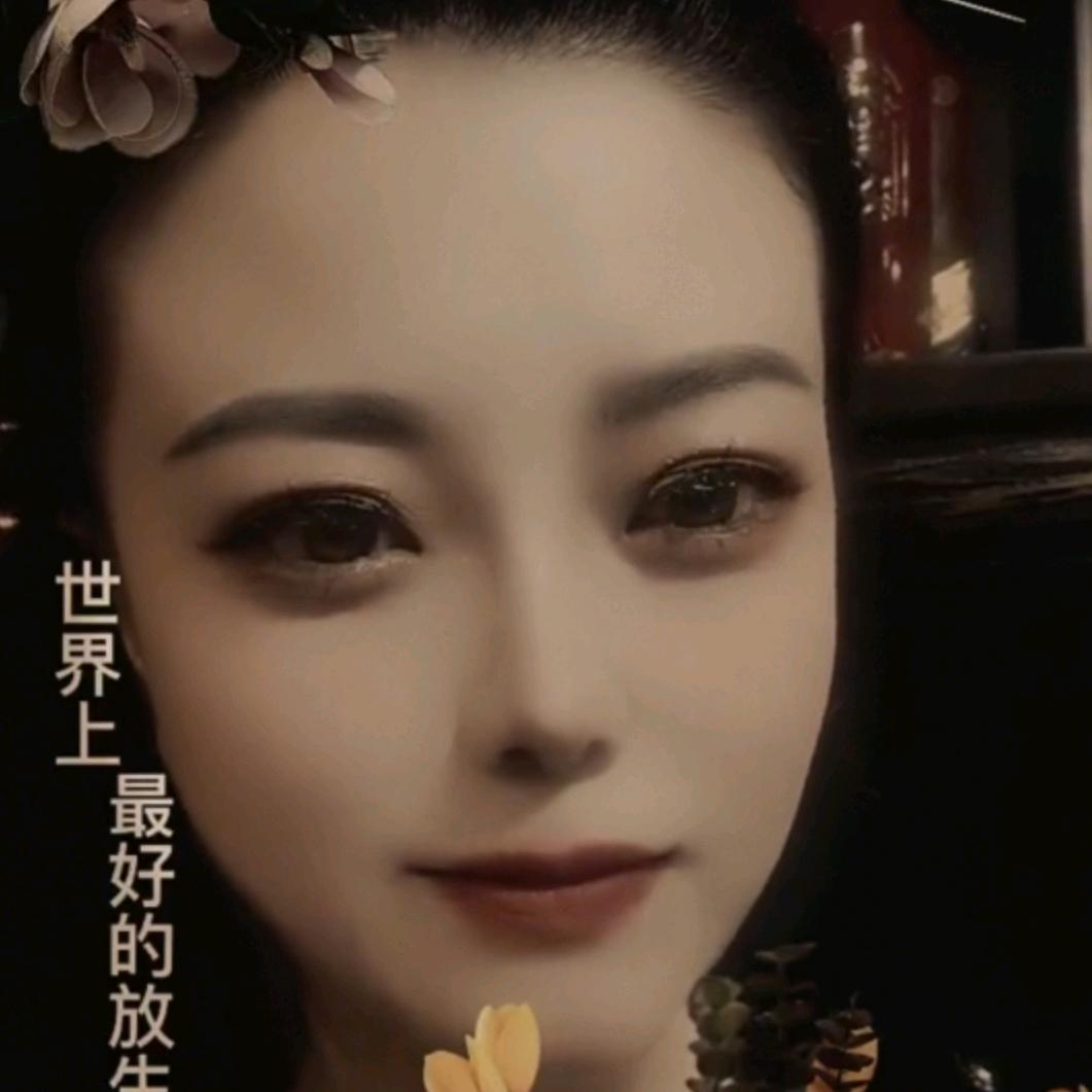 静爺【闽福建材】