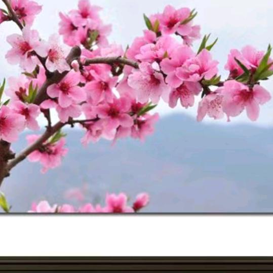 青风正直