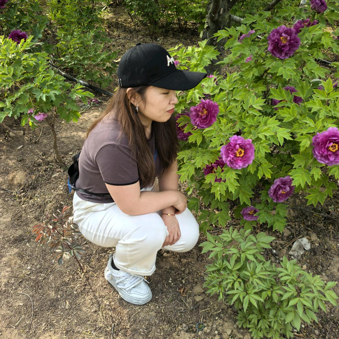 佛乐3直播号