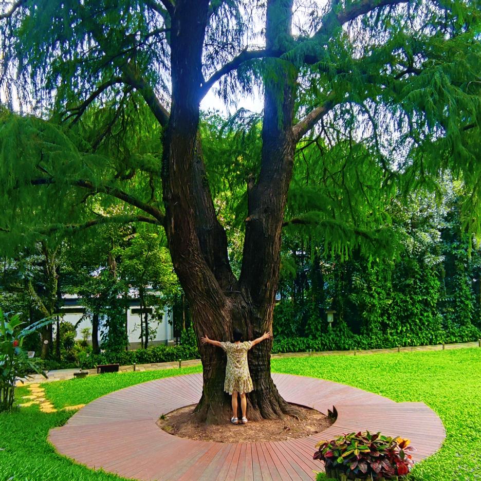 玄𢪶·元吉·秋天