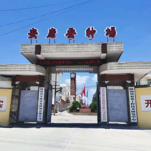 金康蚕业