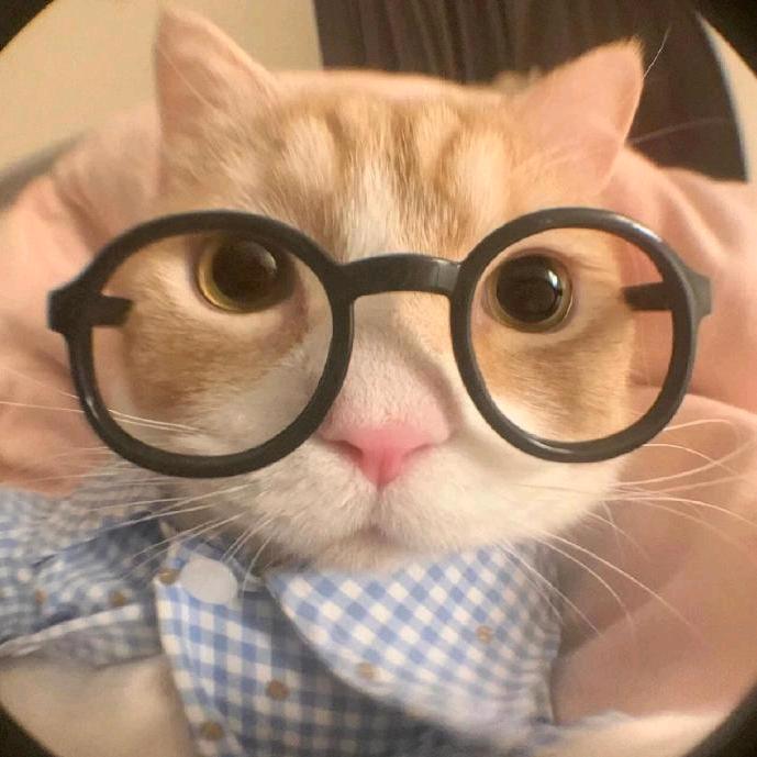 南大共院GG学长