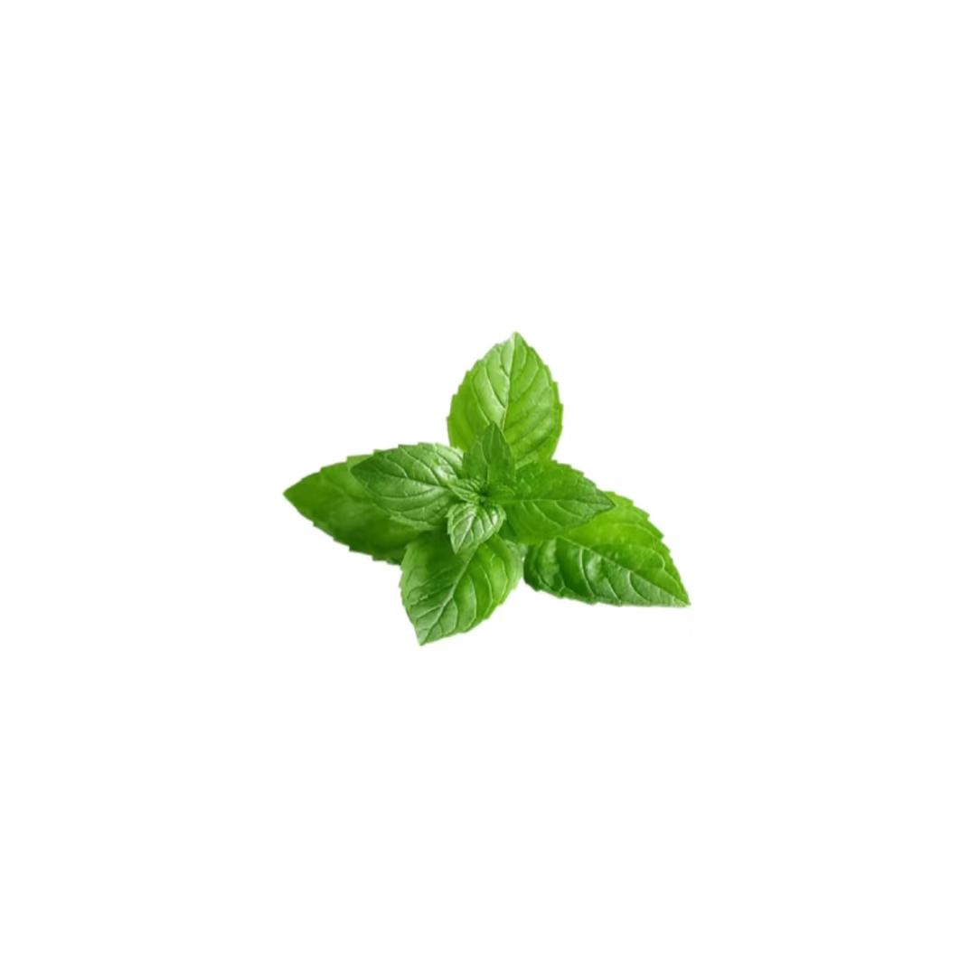%Silvius🍃