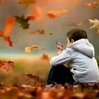 🍁🔥501.522🔥🍁