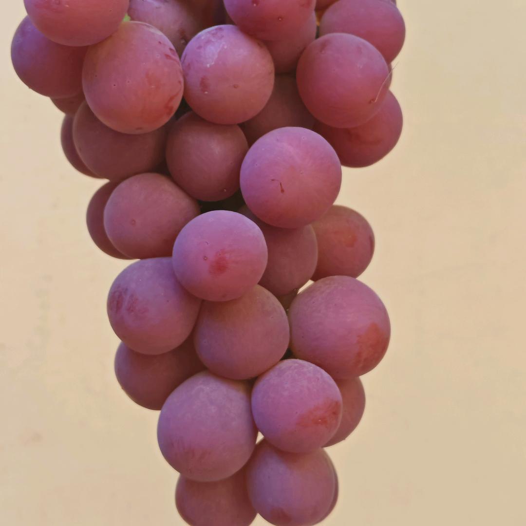 👑难忘⁹²⁰👑