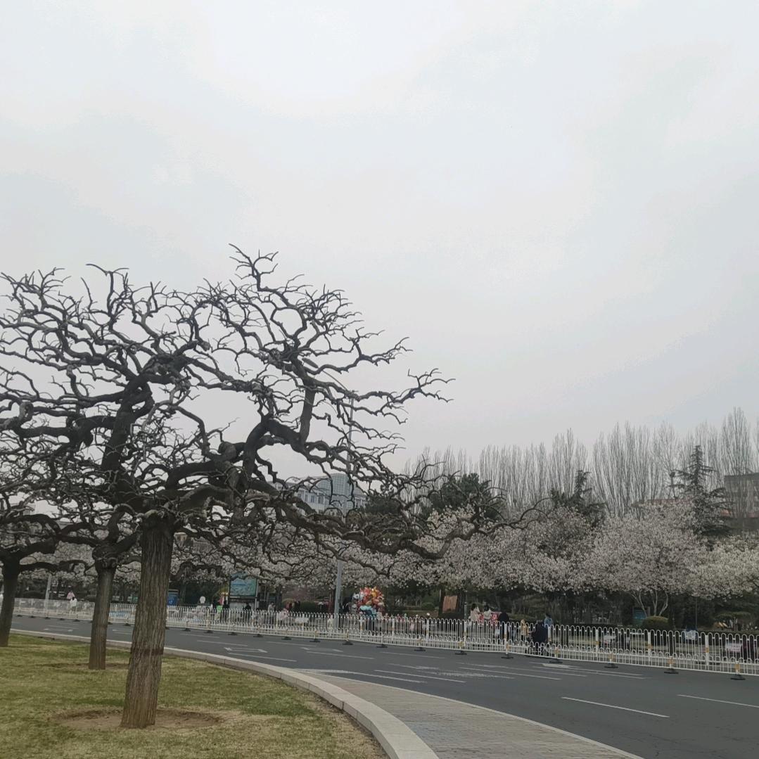 大斗财的元君头像