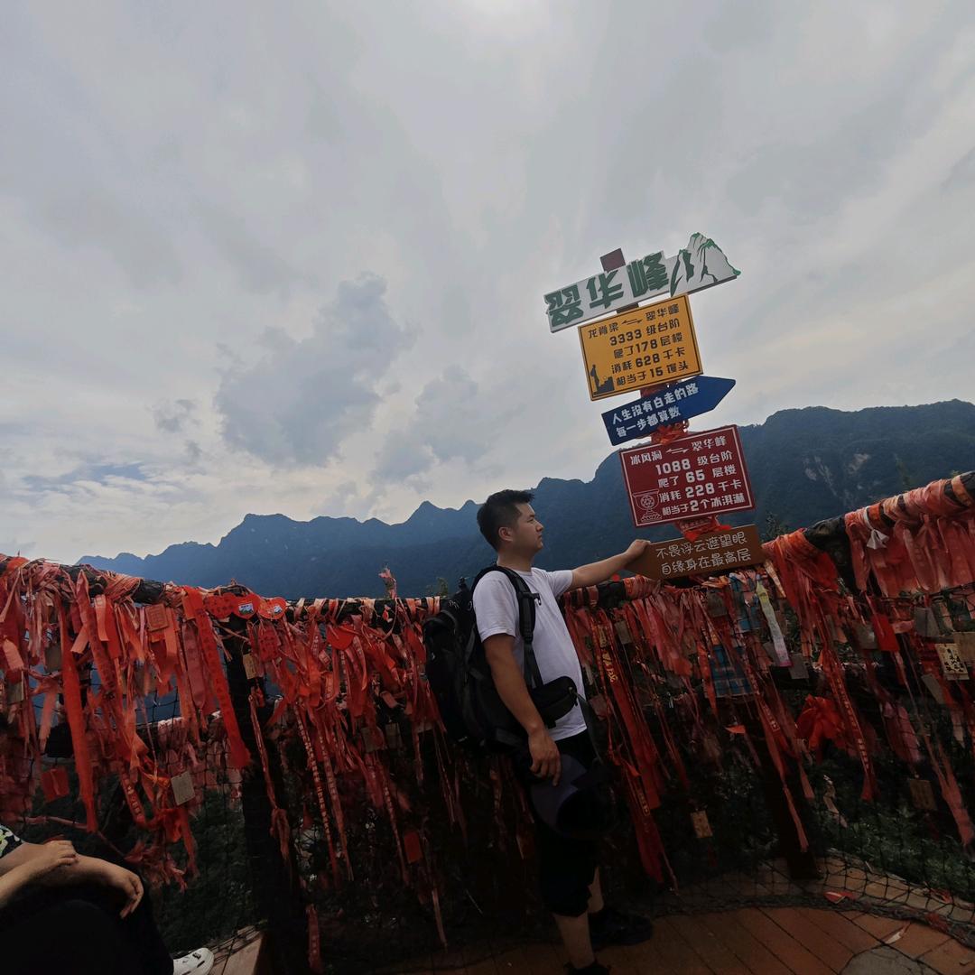 饥荒小田