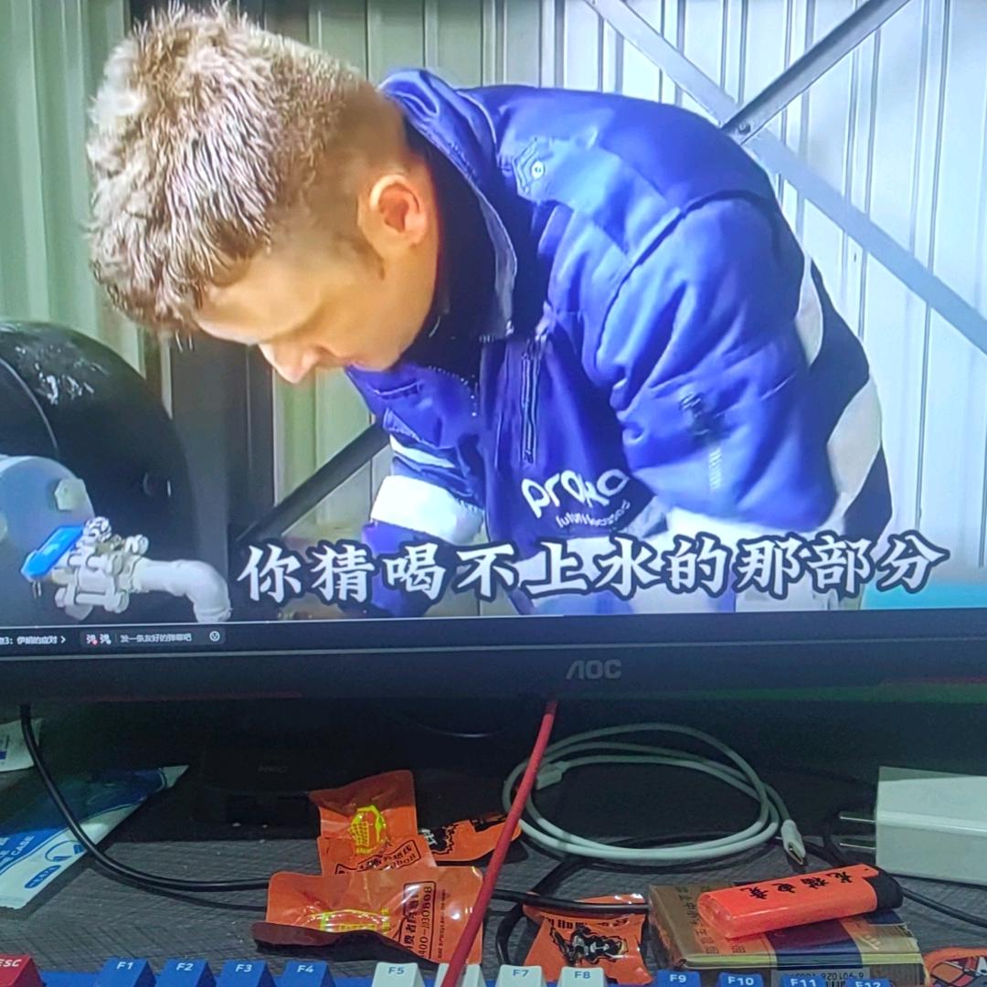 NZ小胖纸