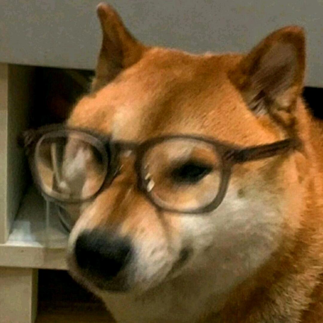 粉末同学