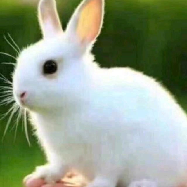 a余生≈自爱。