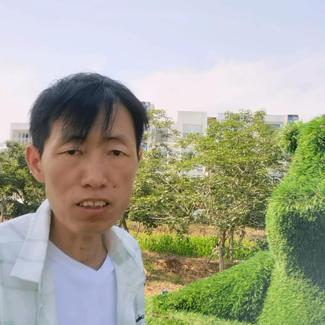 乡村小王