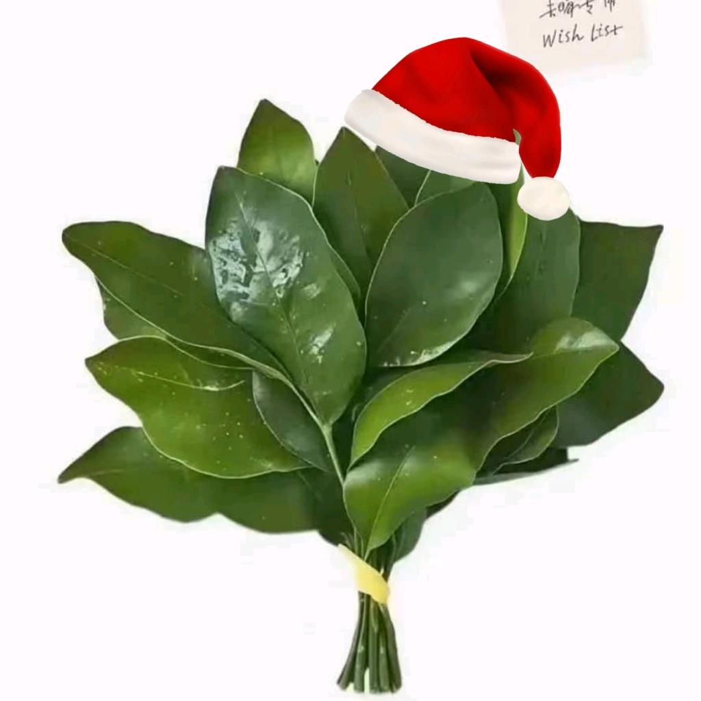 幸运