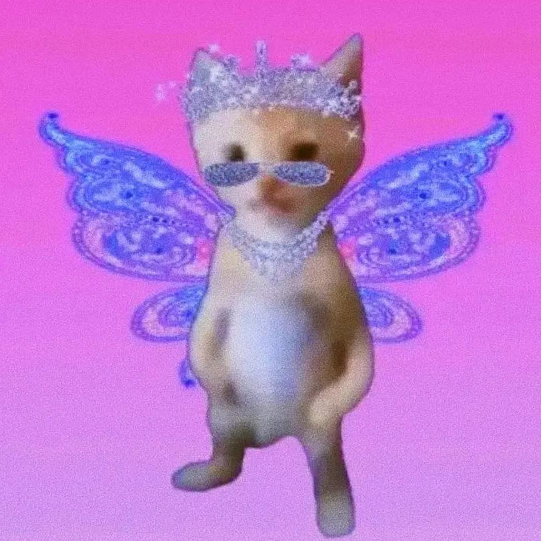 嘻嘻嘻嘻