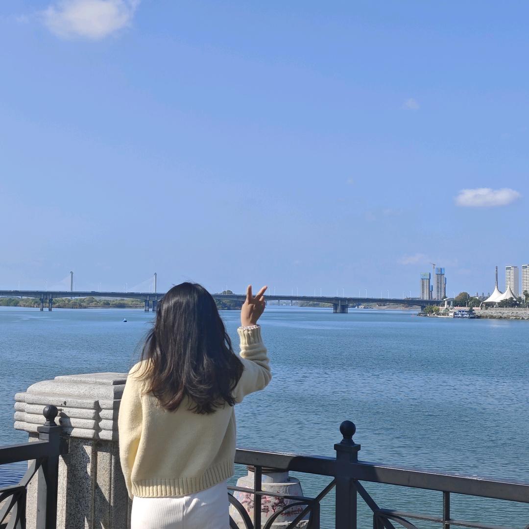 昭意（八方来财版）