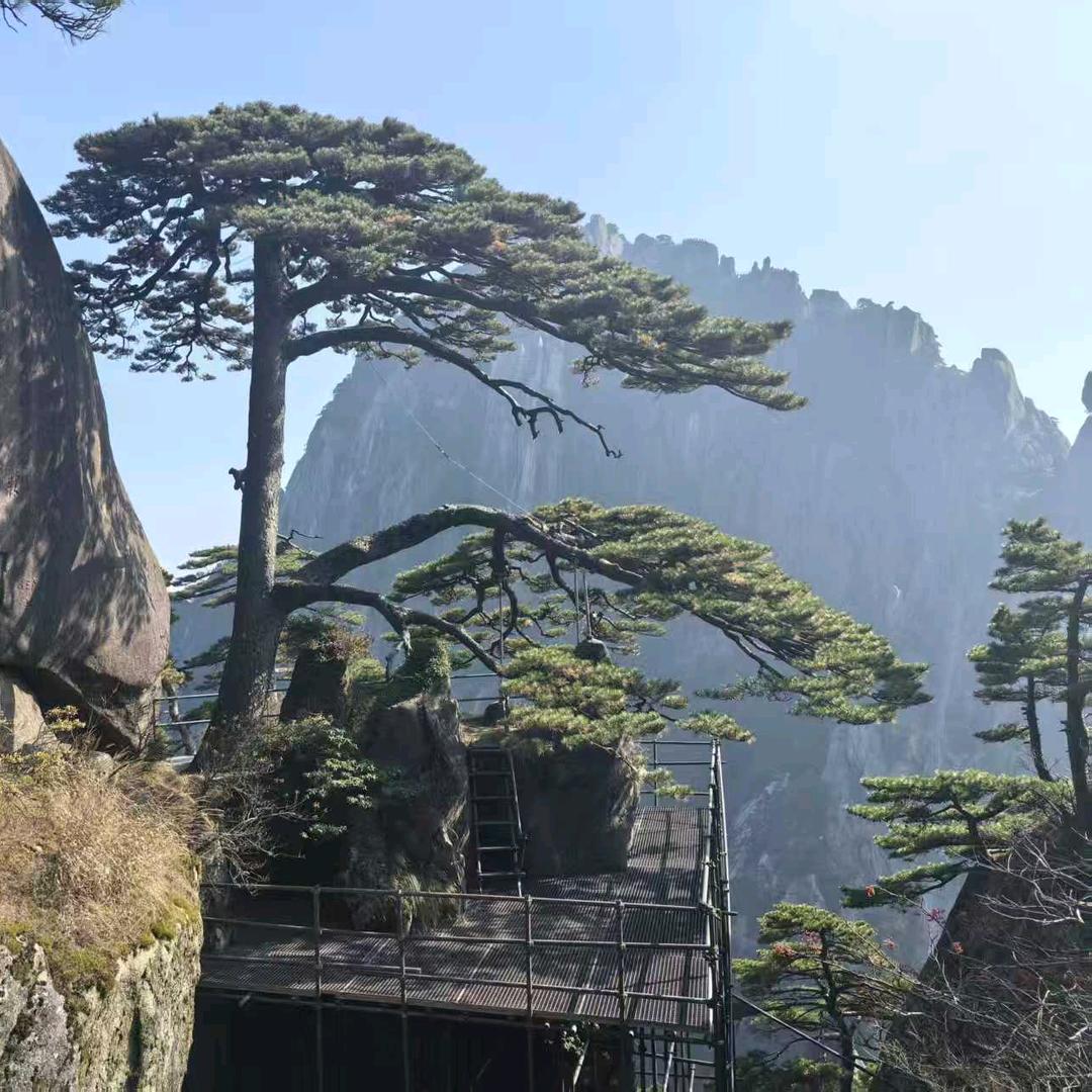 执着