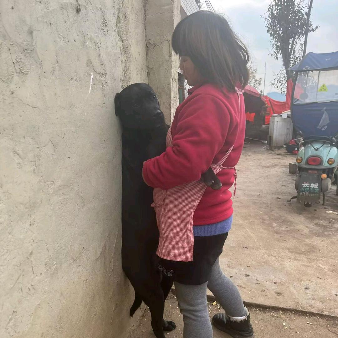 涛哥是农民，，，