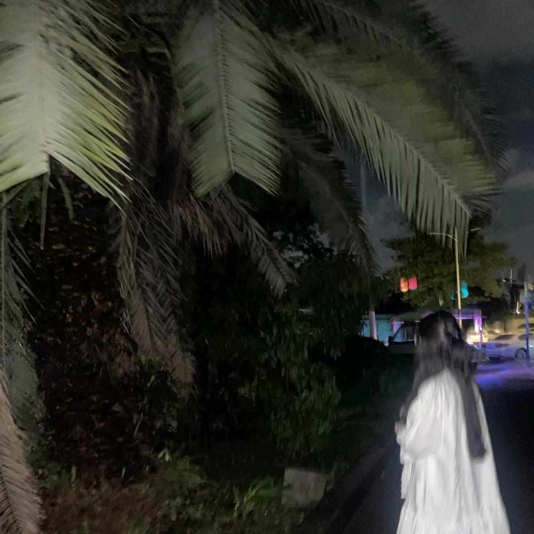 @一只小朋友🌿
