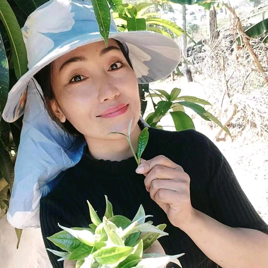 茶叶姐