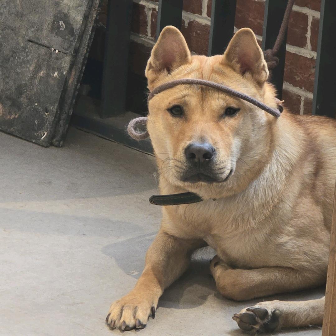 突然手作集合店