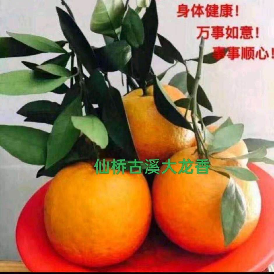 陈兄🌹🌹