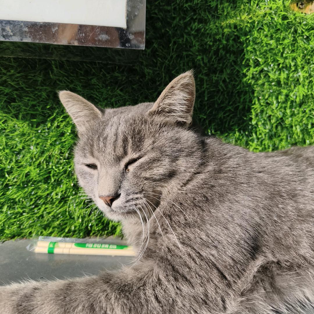 7是你喜欢的数字