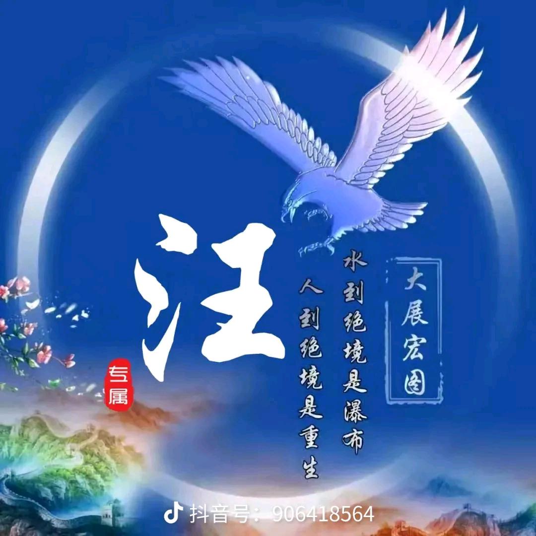 一天半的队长