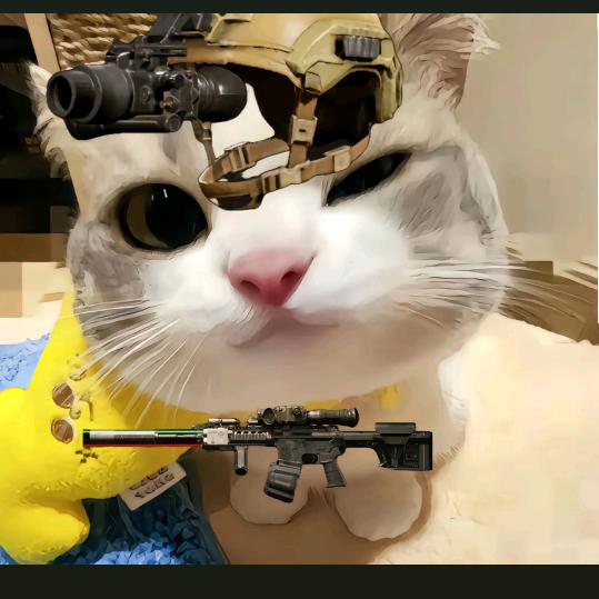 财（暗区突围）