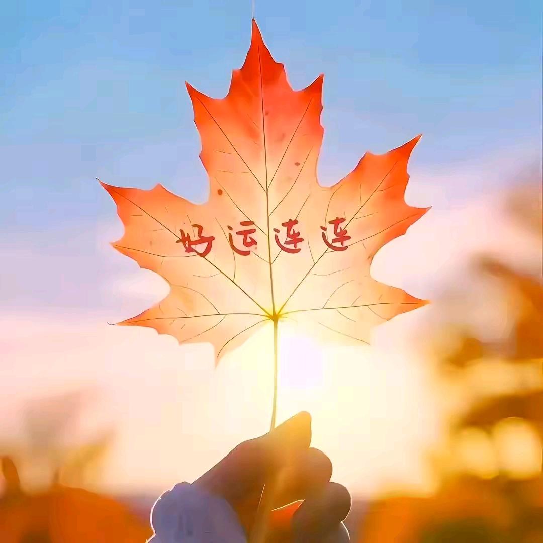 用户