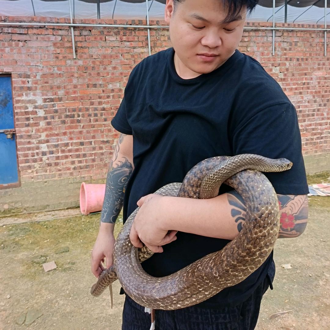 何德耀的农产技术服务铺