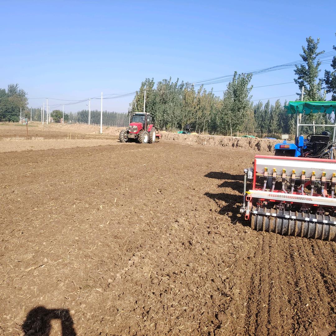 安平县禾顺谷物磨制坊（个体工商户）