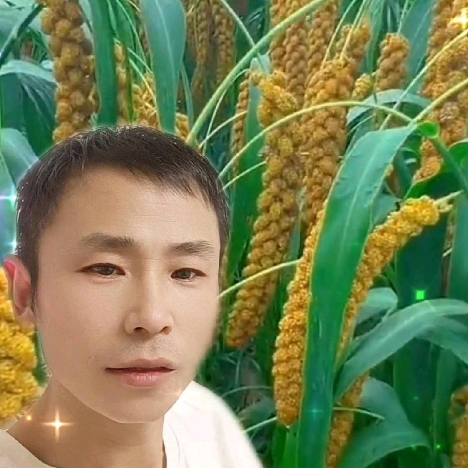 绿水青山就是金山银山