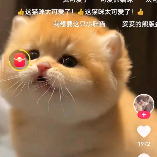 🍒看淡🍒一切🍇