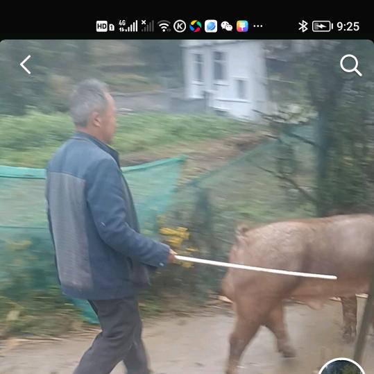 石朝兴，朝大伯