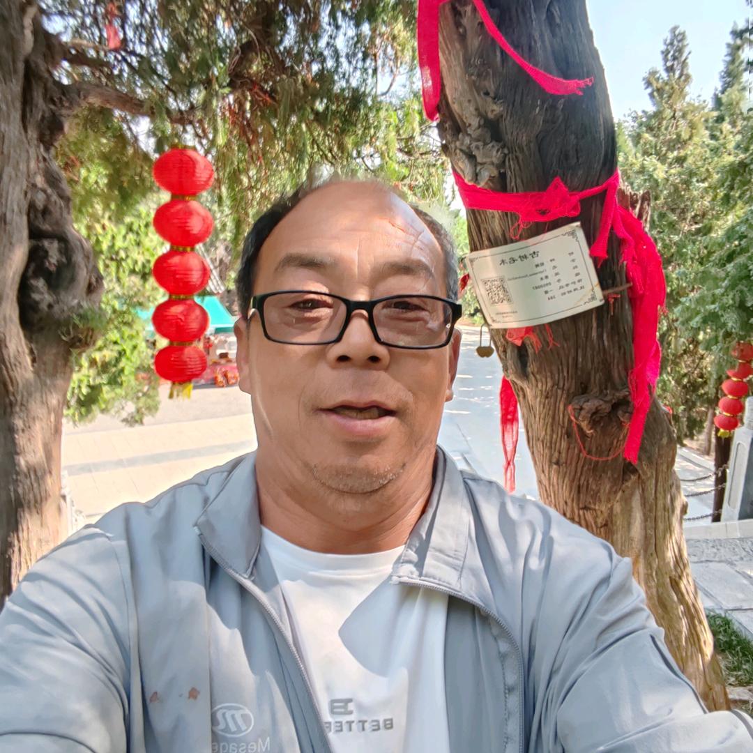 云游四海拉猪（程）