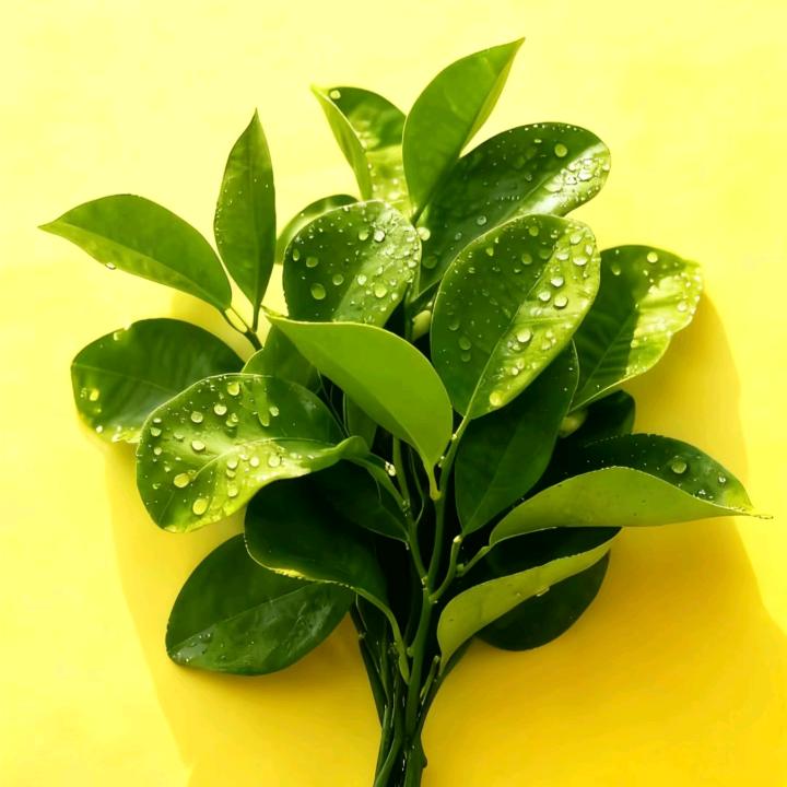 薛定谔的小黄摊