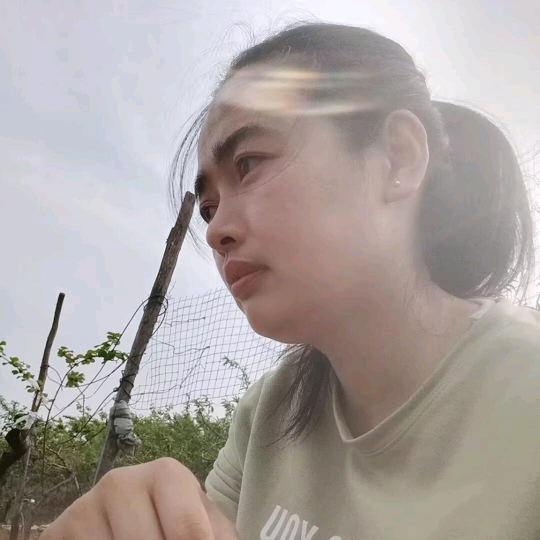 梅子的日常